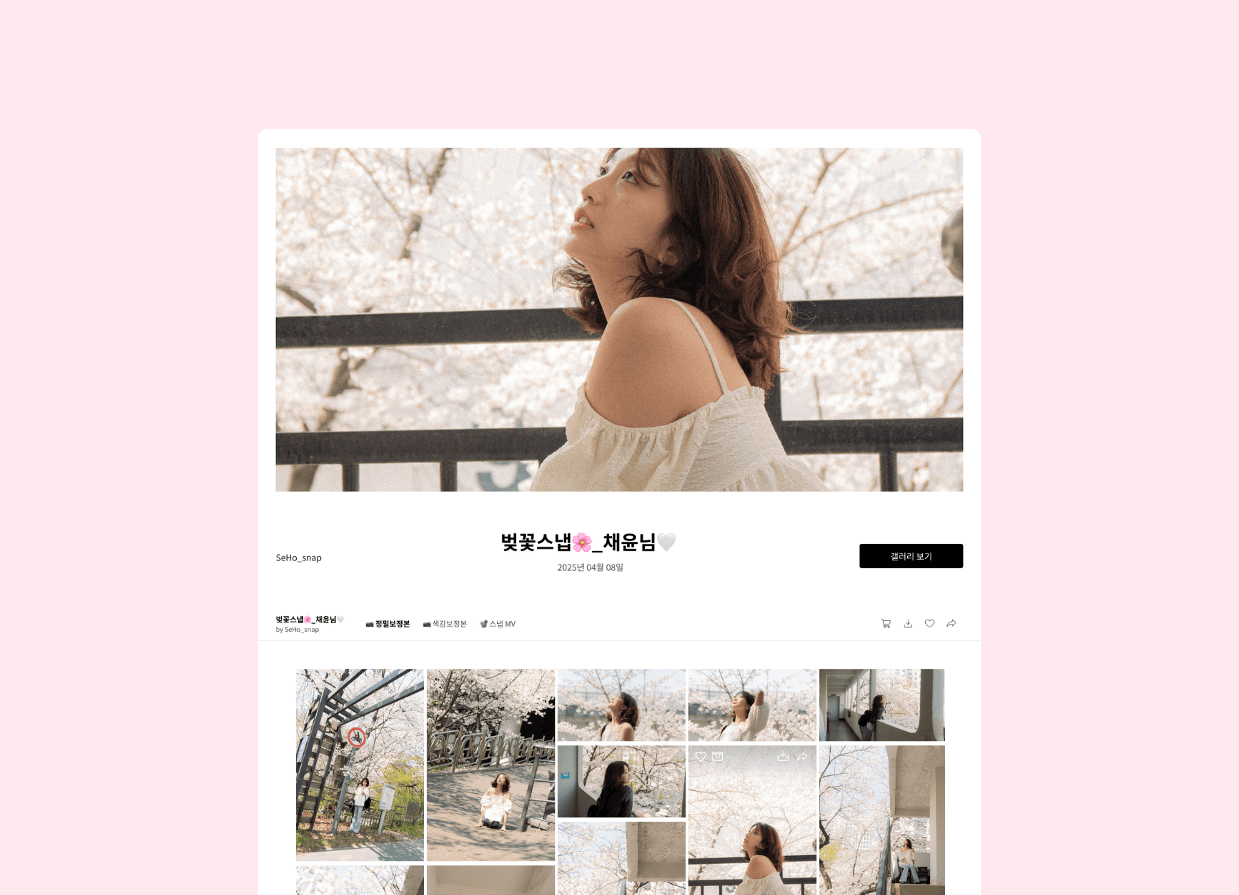 "벚꽃은 매년 피지만, 그 해의 여러분은 다시 돌아오지 않아요" — 세호필름의 벚꽃스냅 이야기