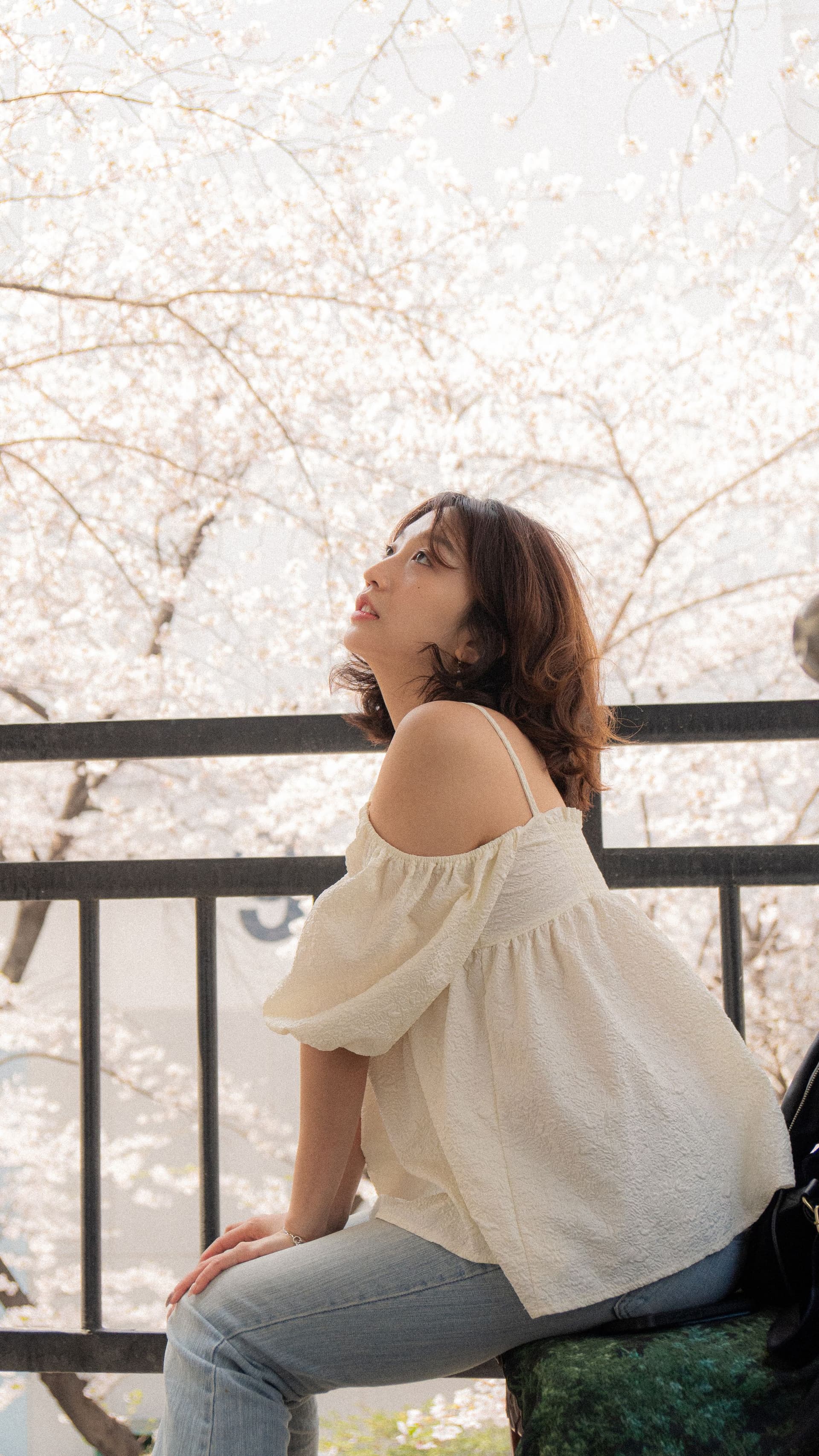 세호필름 벚꽃스냅 촬영 사진