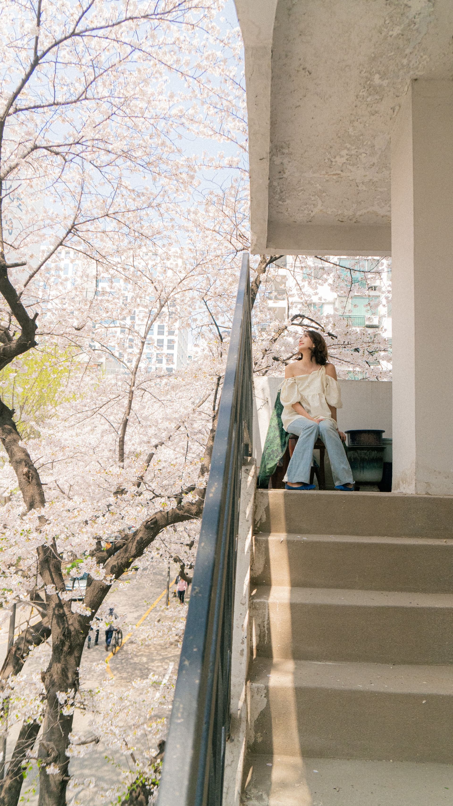 세호필름 벚꽃스냅 촬영 사진