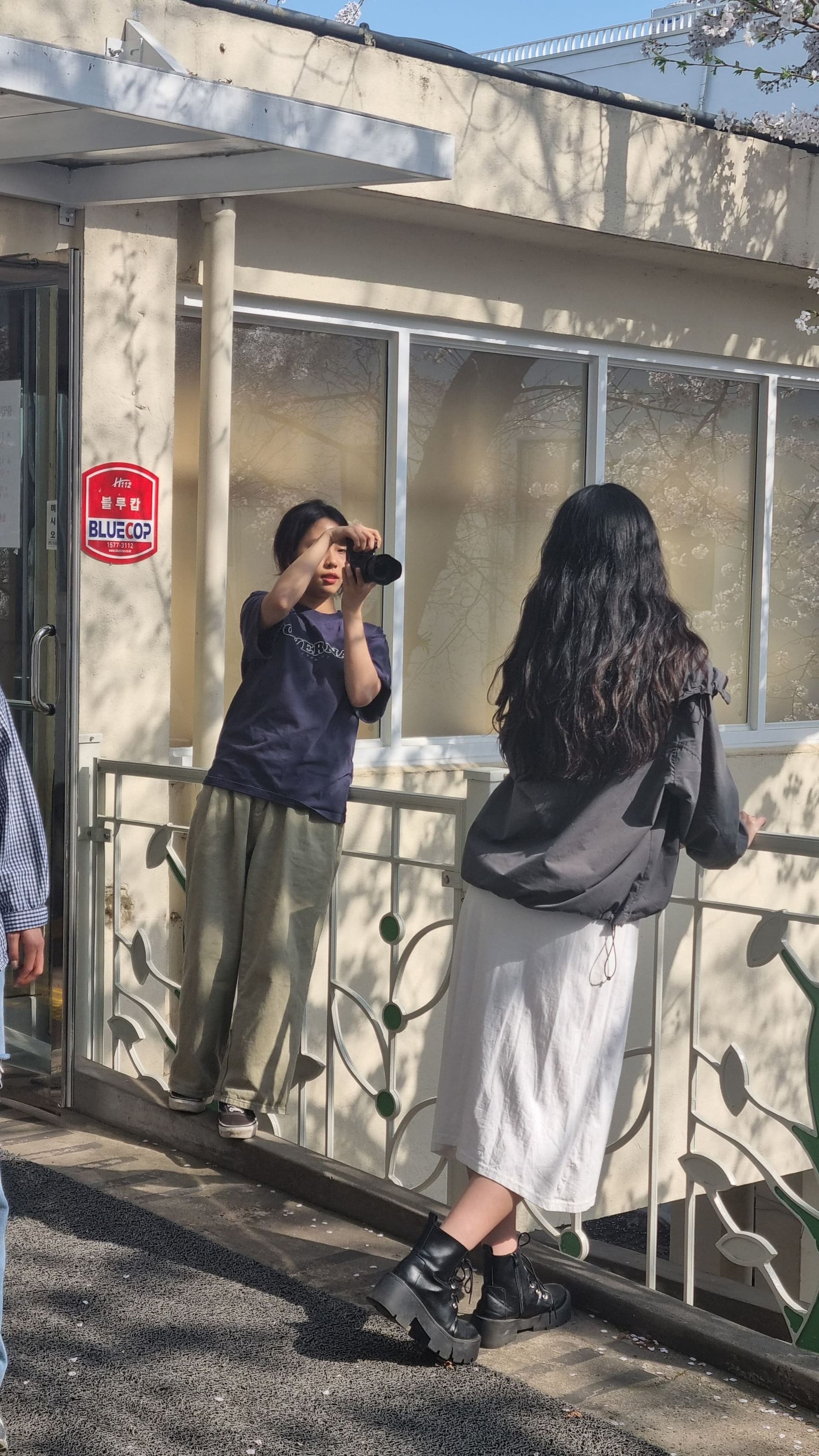 세호필름 벚꽃스냅 촬영 사진