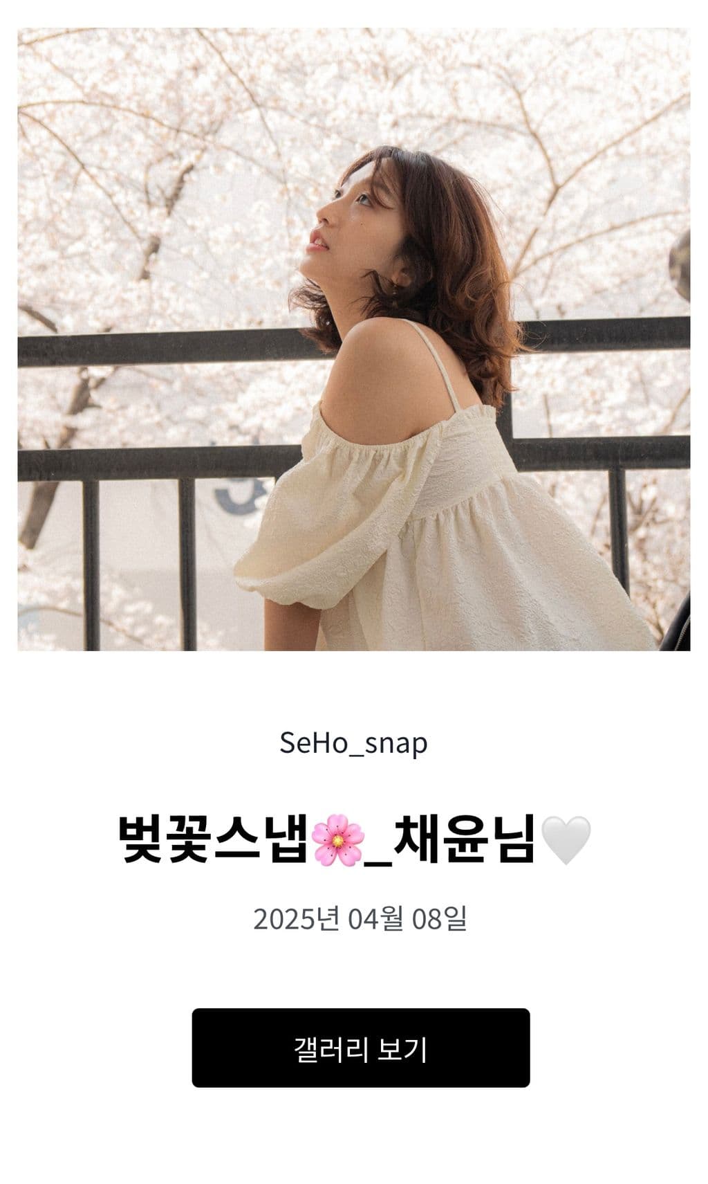 세호필름 픽스픽스 갤러리 화면